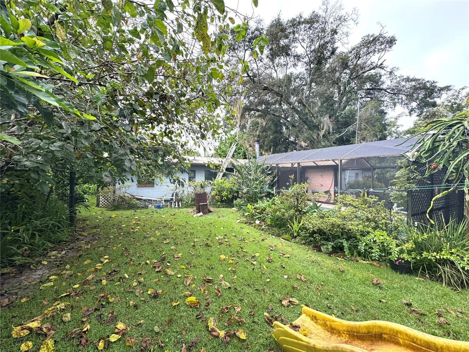 3809 NEEDLES DR