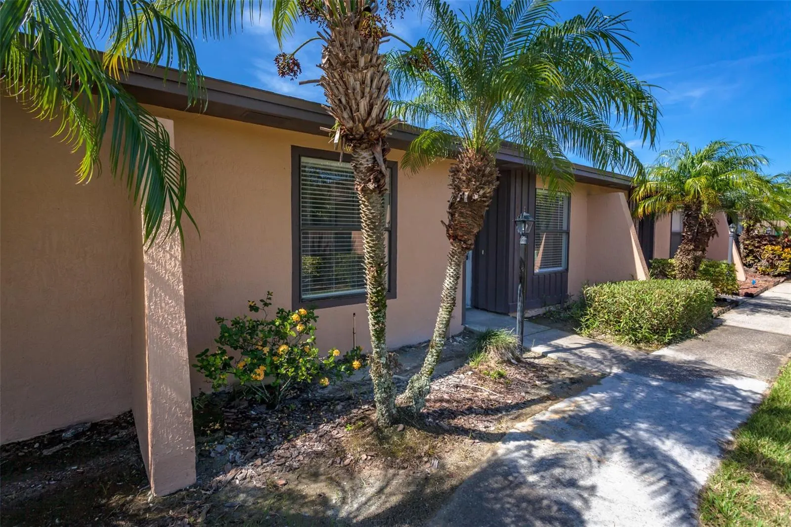 2024 TRINIDAD CT