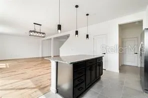 1143 SEEDORF DR