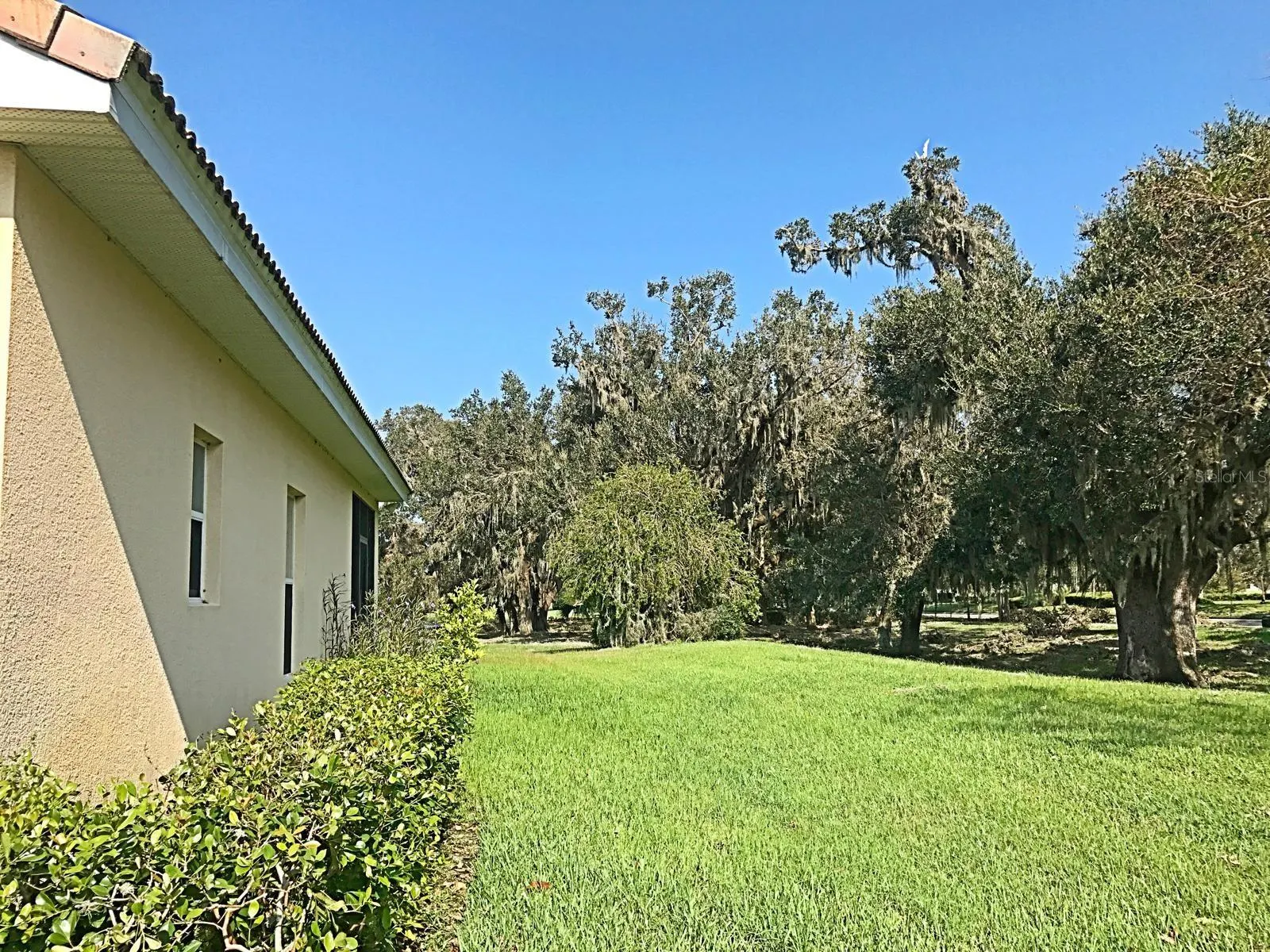 3500 FOREST PARK DR