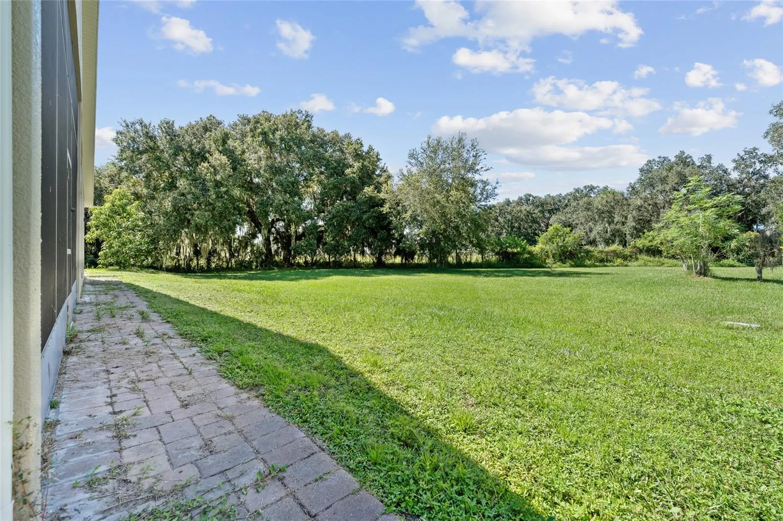 3330 EARLE CT