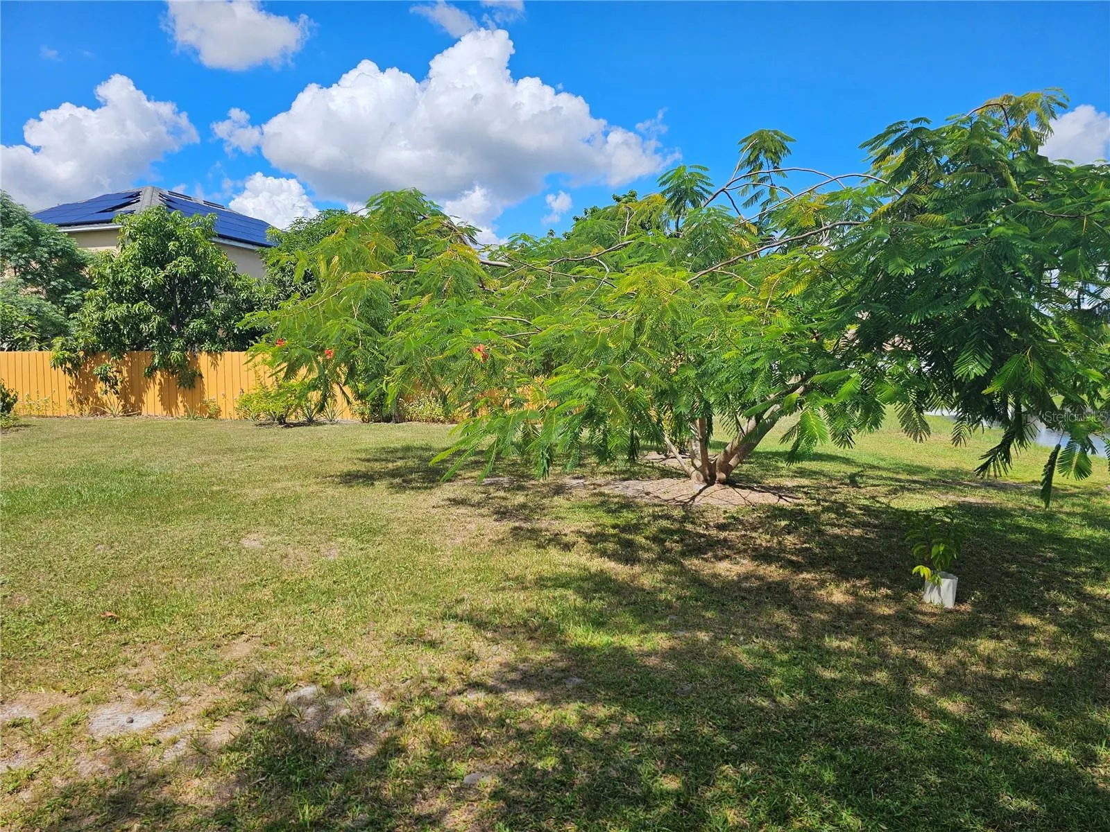 501 OAK BRANCH CT