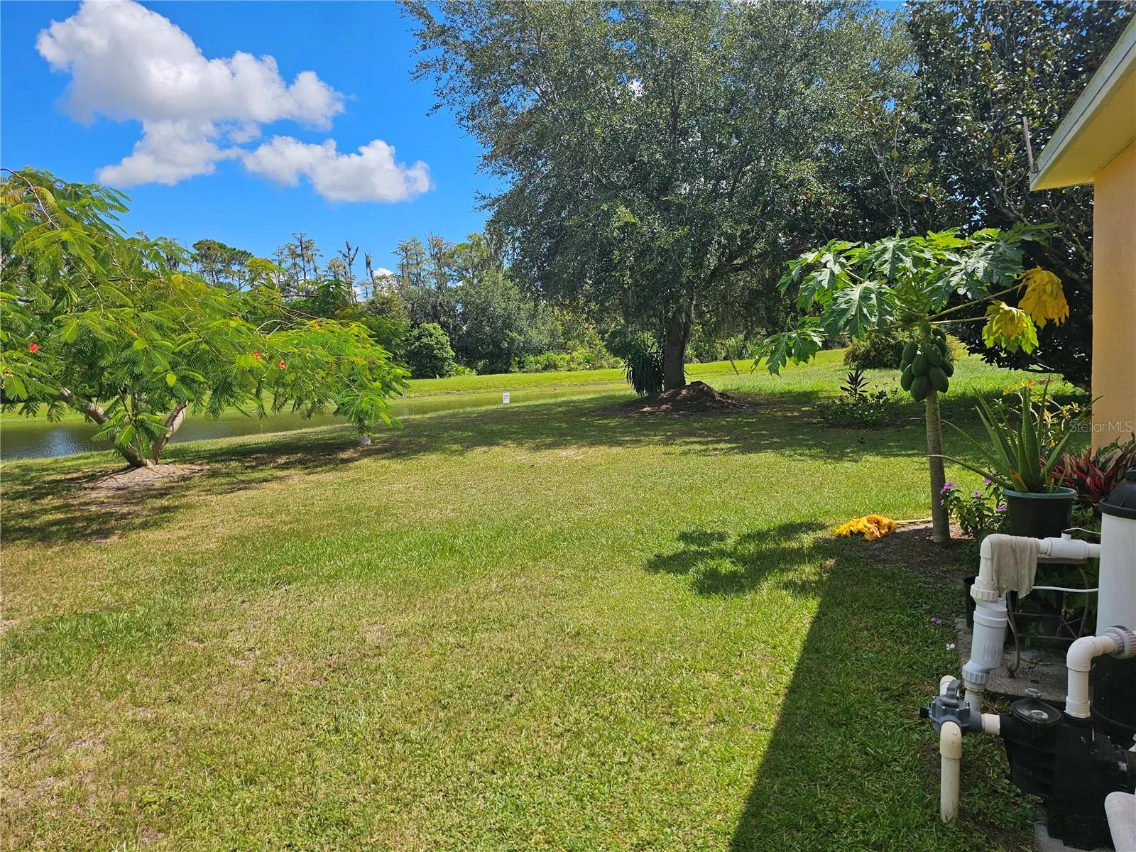 501 OAK BRANCH CT
