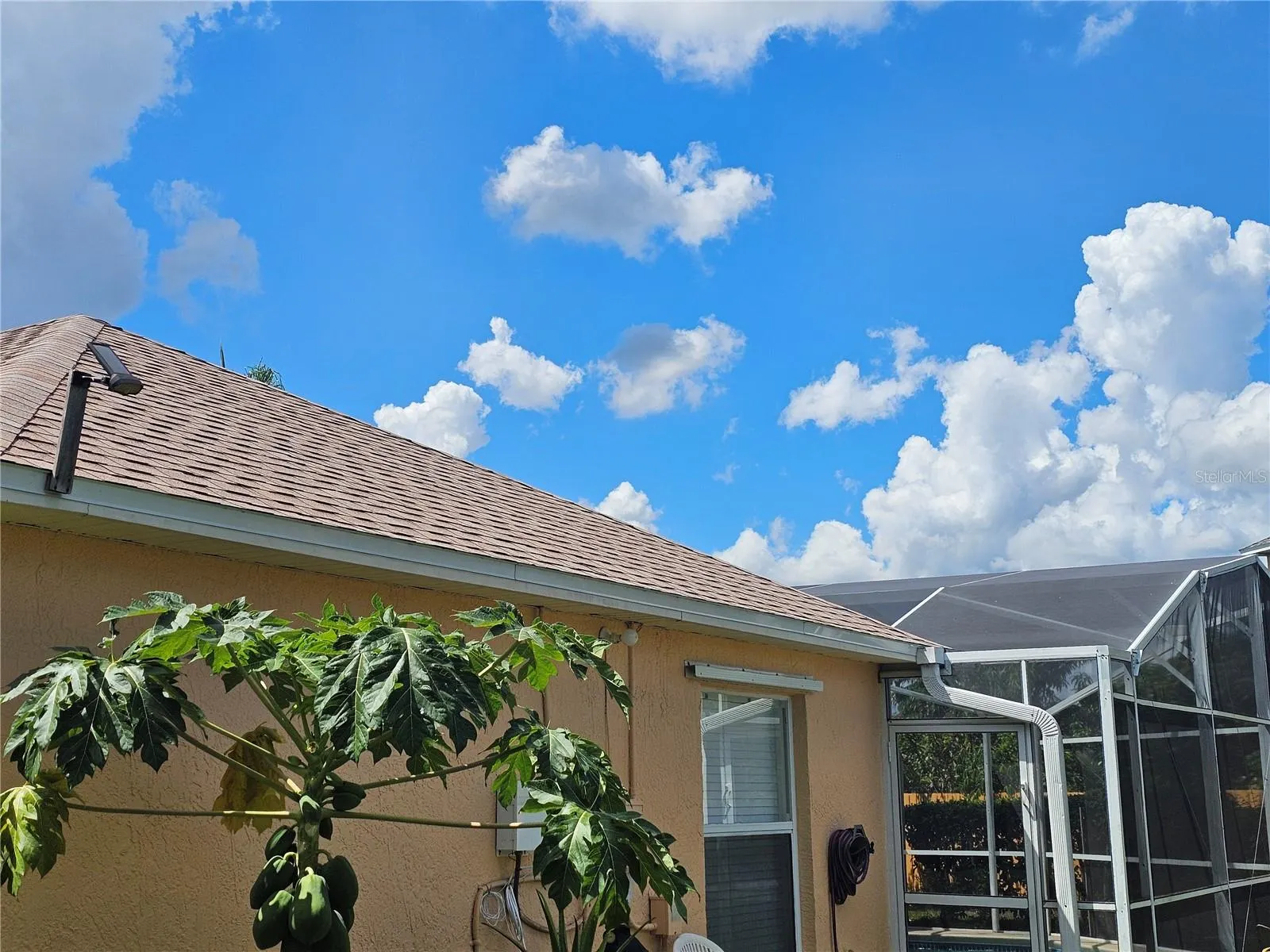 501 OAK BRANCH CT