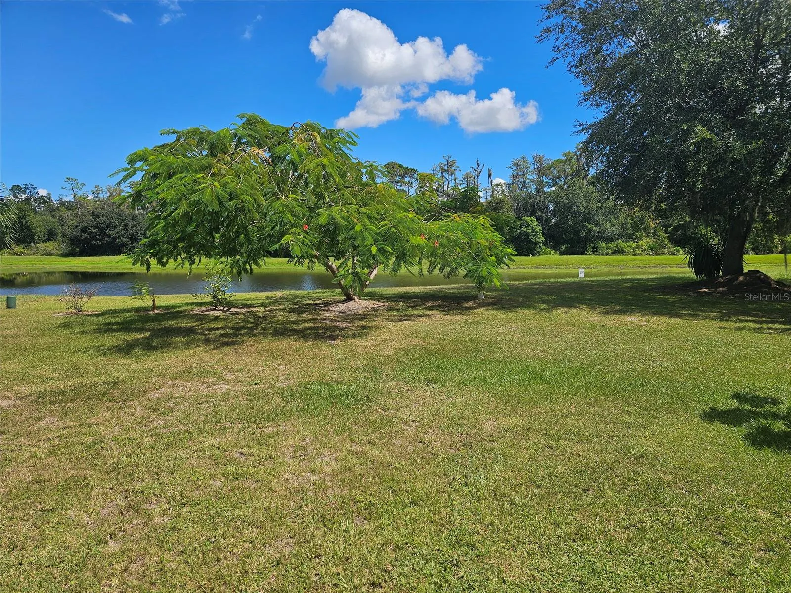 501 OAK BRANCH CT