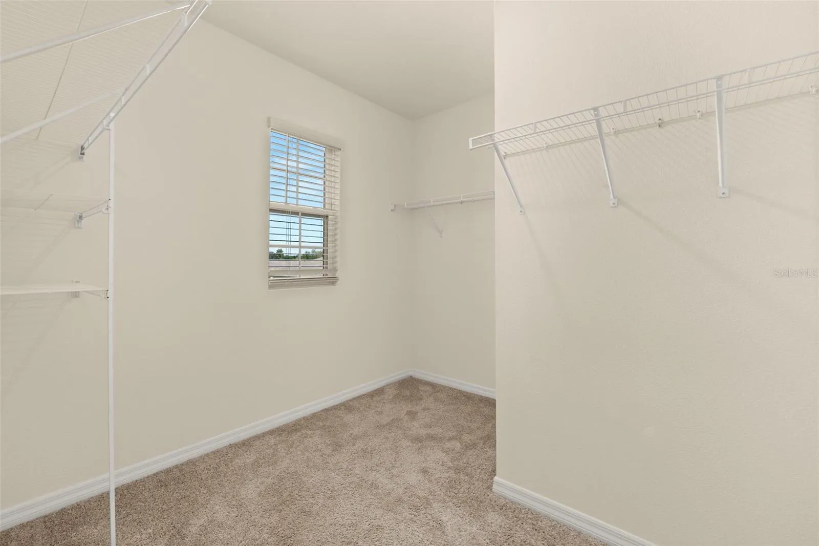 459 LILY LN
