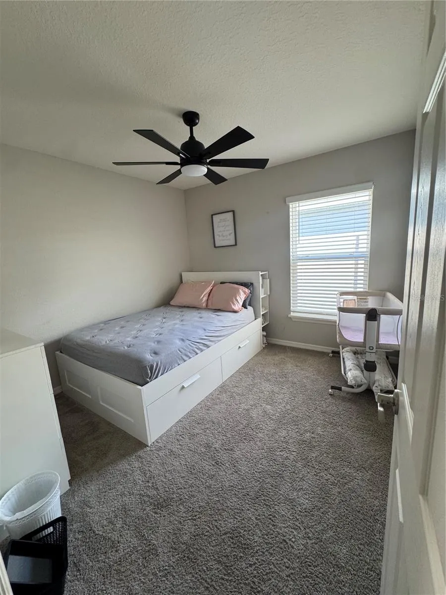 3911 PALAZZO PL