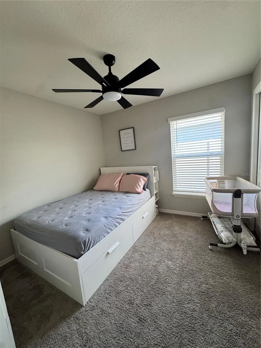3911 PALAZZO PL