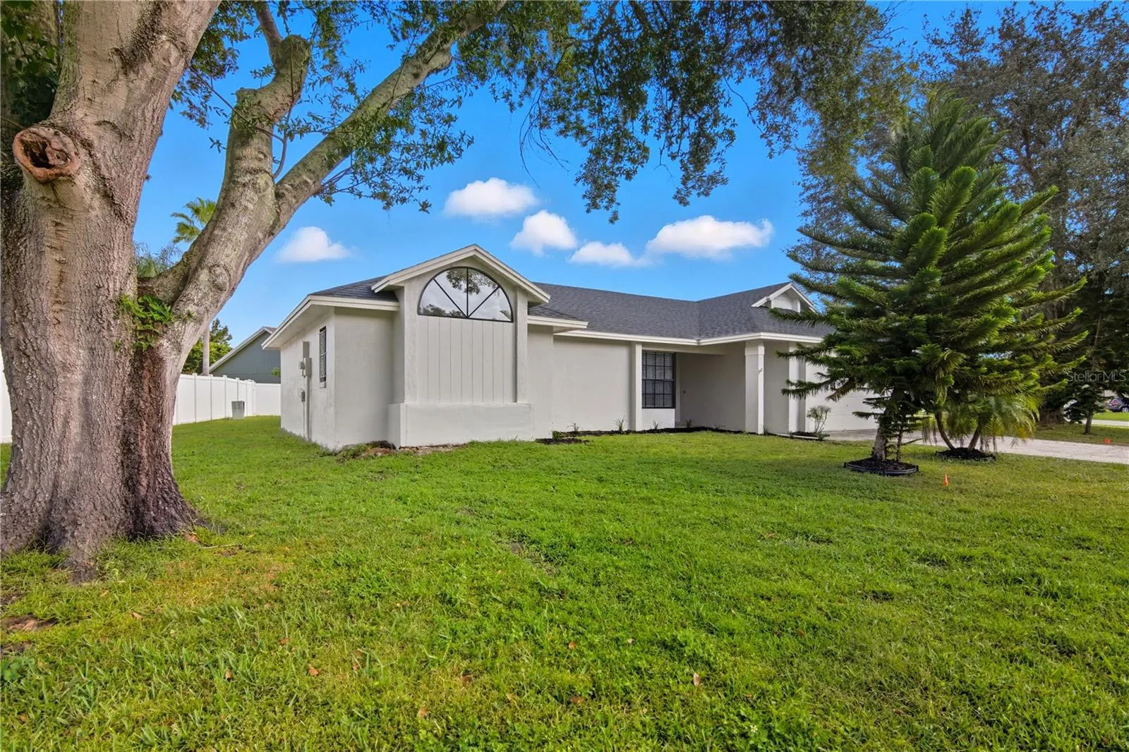 205 RED MAPLE DR