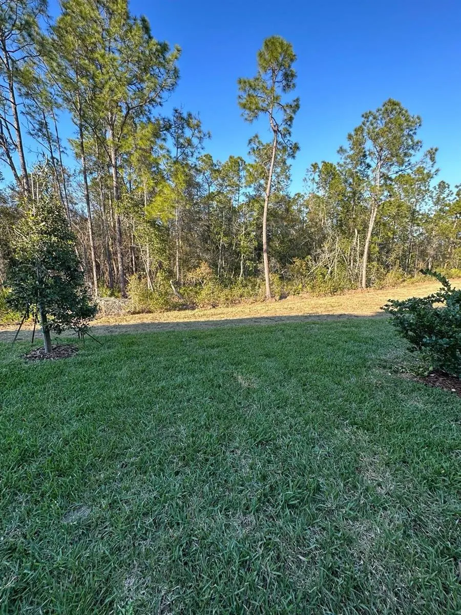 3587 DAVENPORT CREEK CT