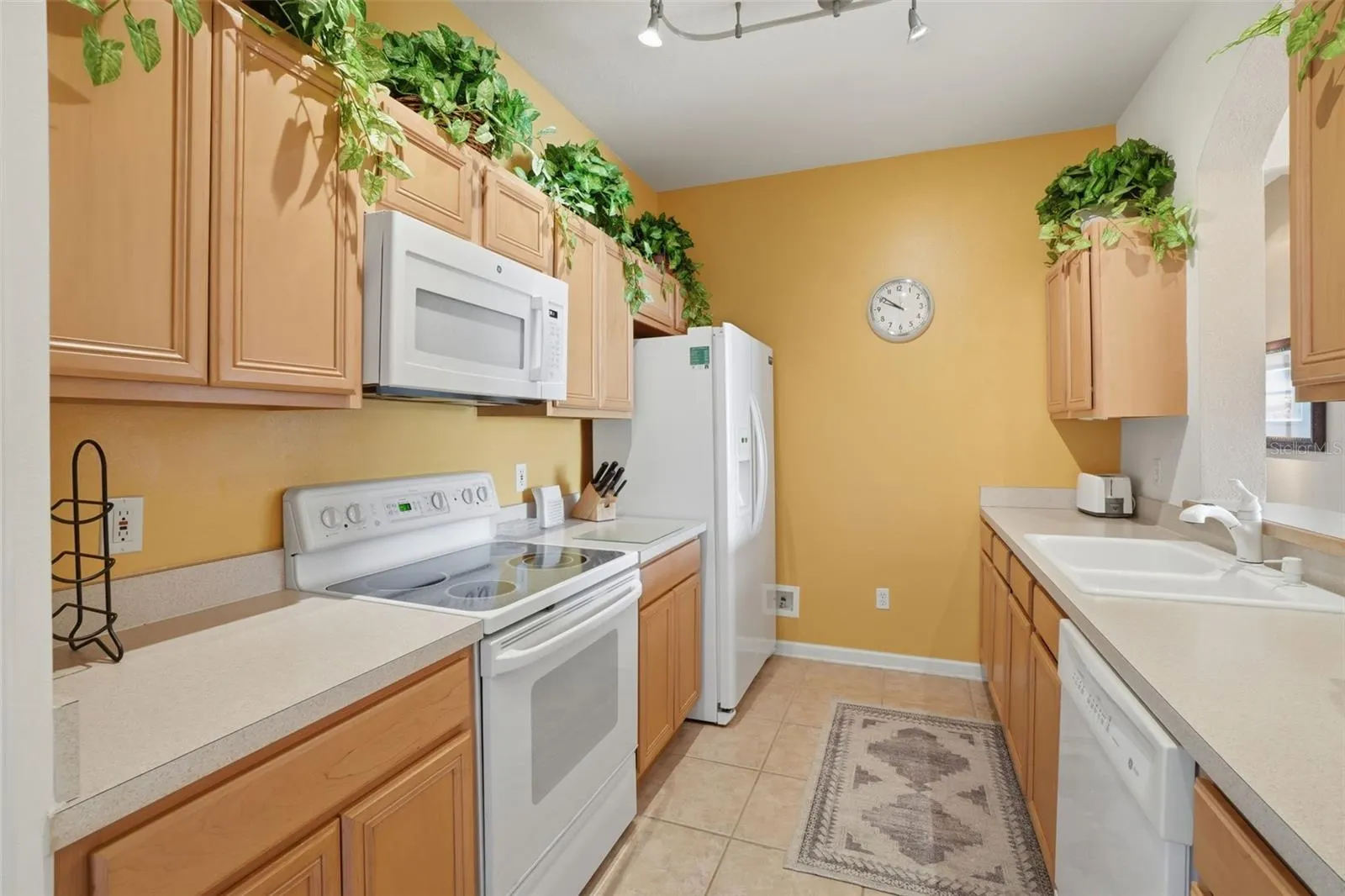 13560 TURTLE MARSH LOOP #336 #336