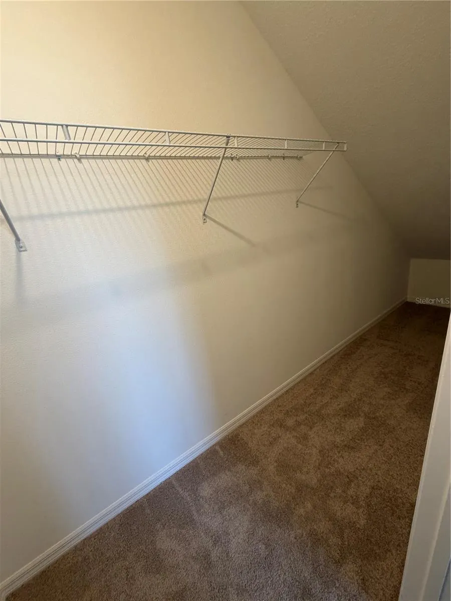 2596 CLEAR NIGHT AVE