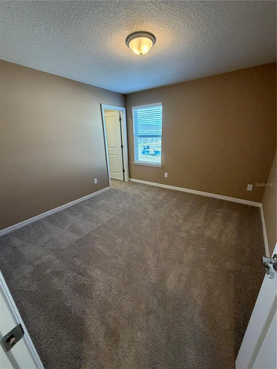 2596 CLEAR NIGHT AVE