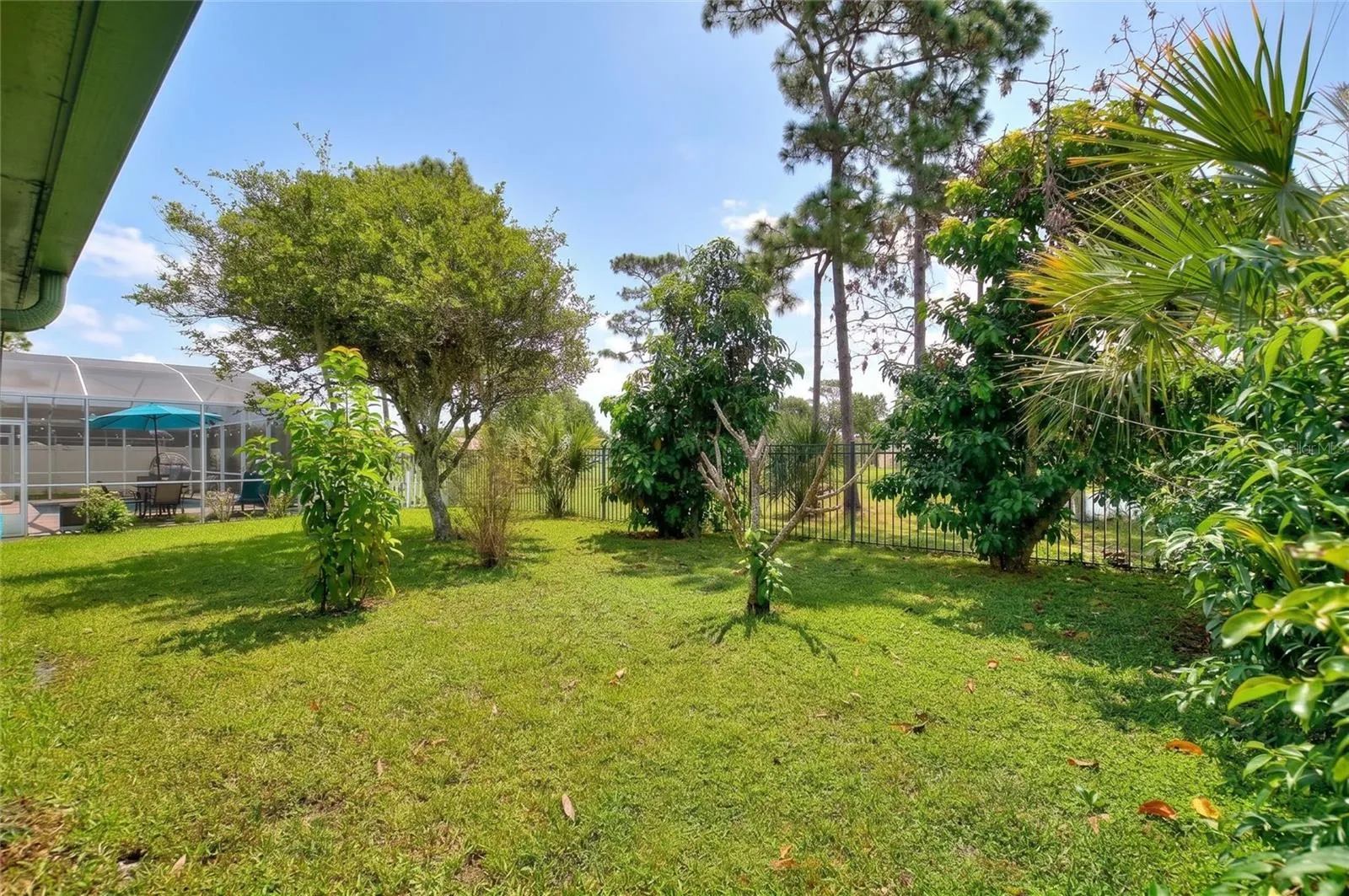 298 INDIAN POINT CIR