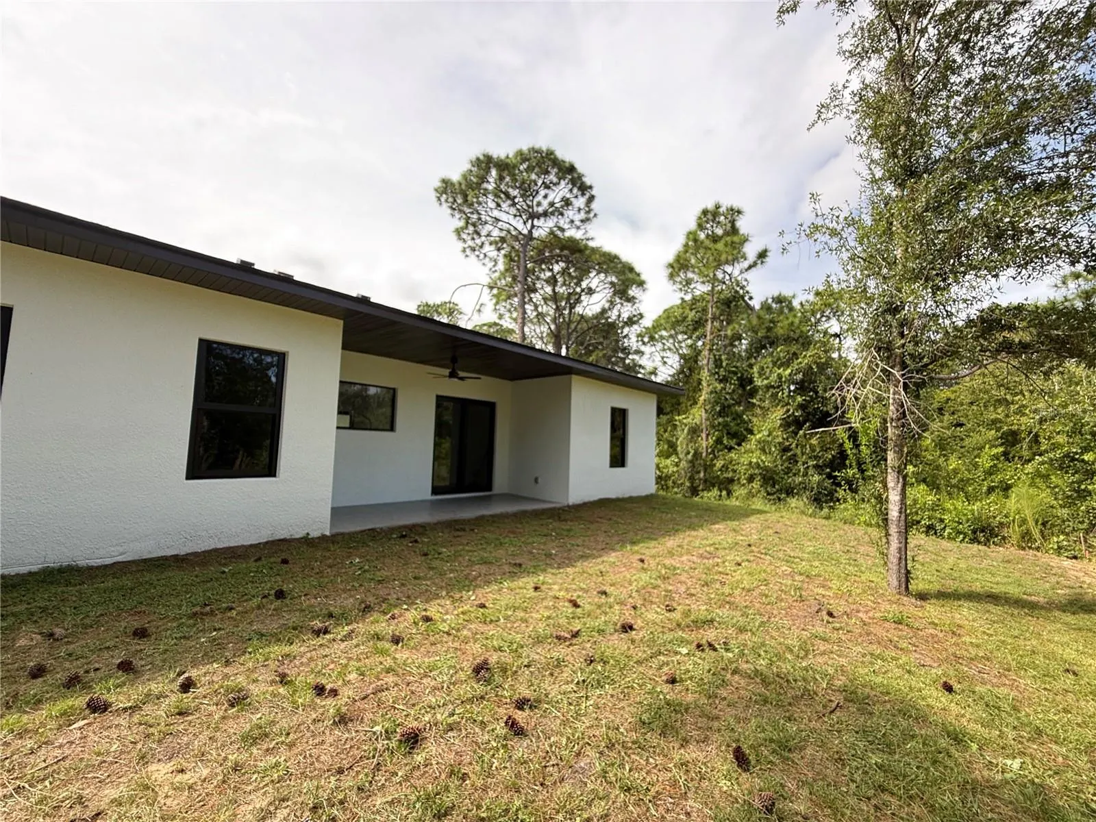 339 ROADRUNNER AVE