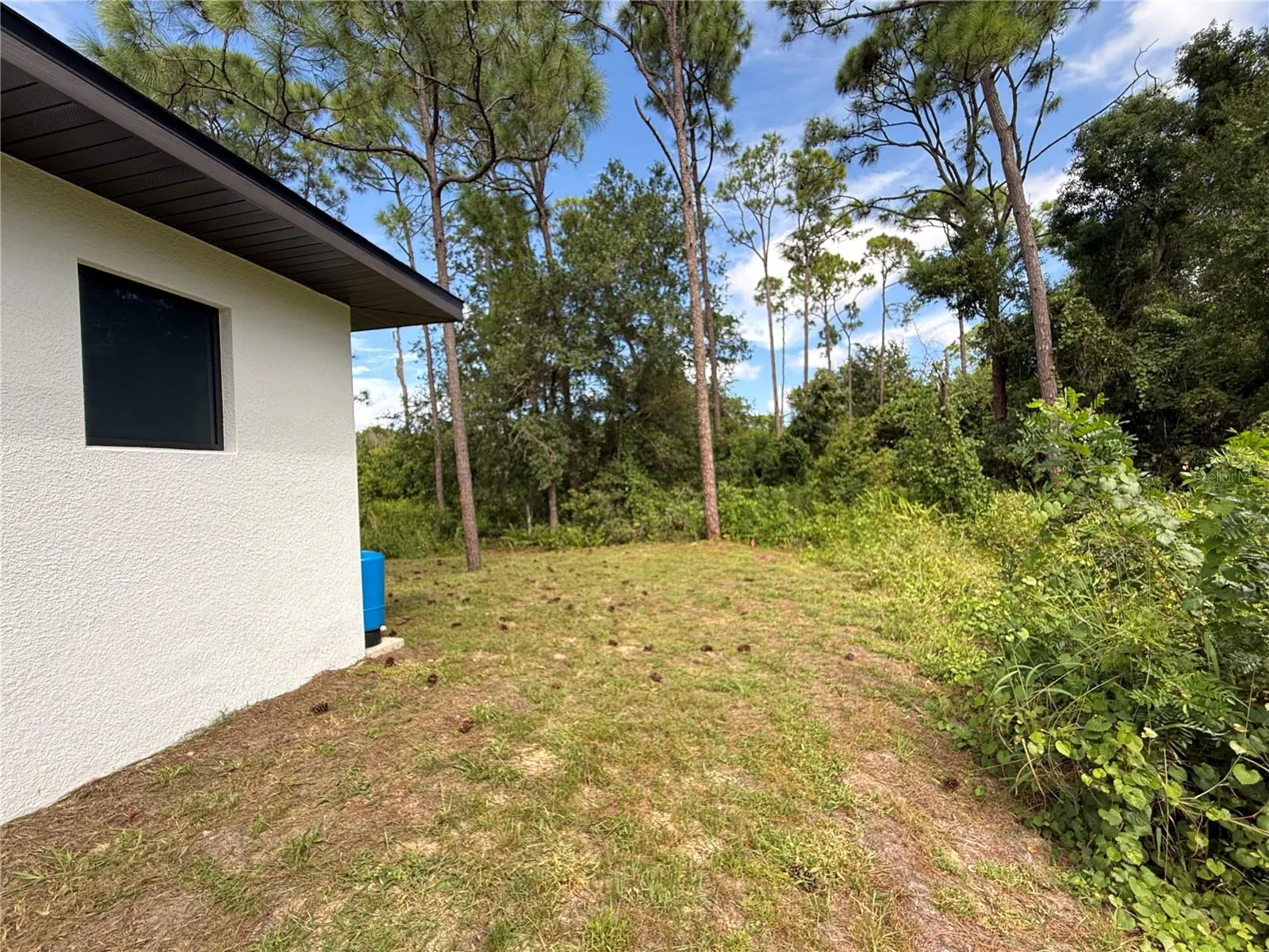 339 ROADRUNNER AVE