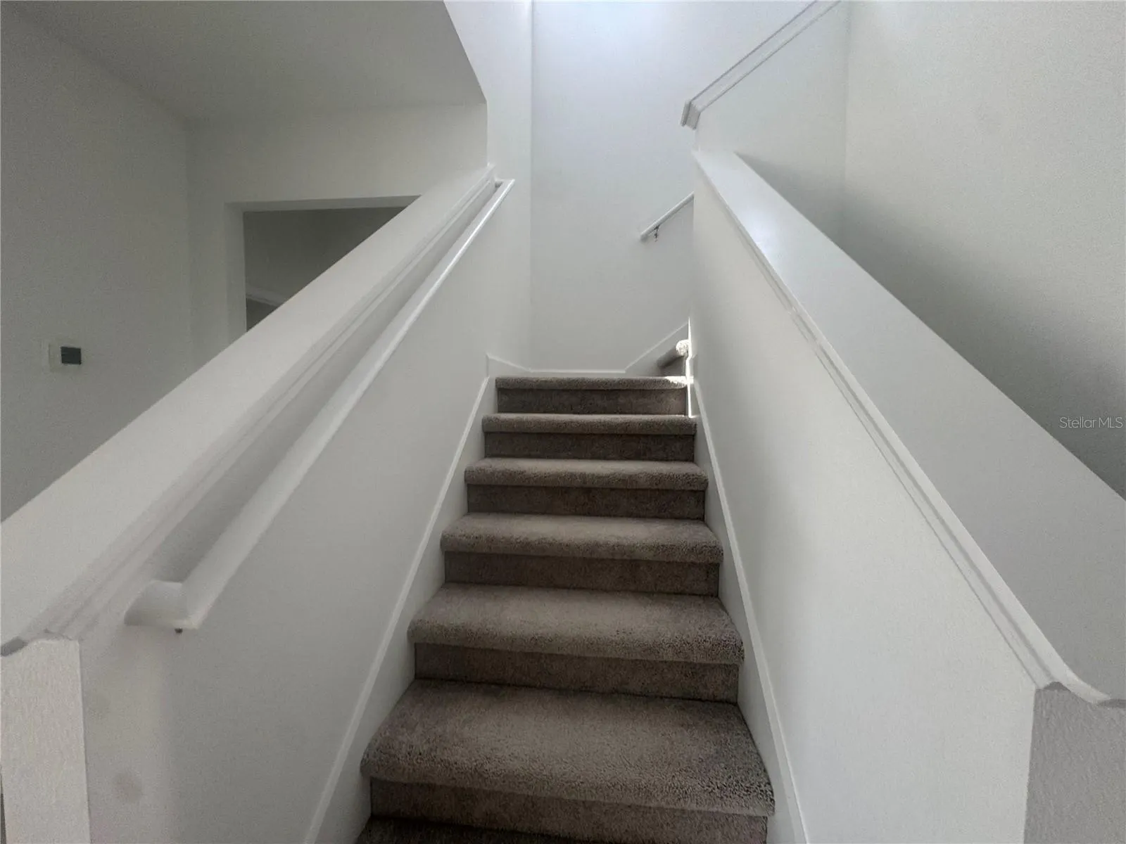 5554 FIONA LN