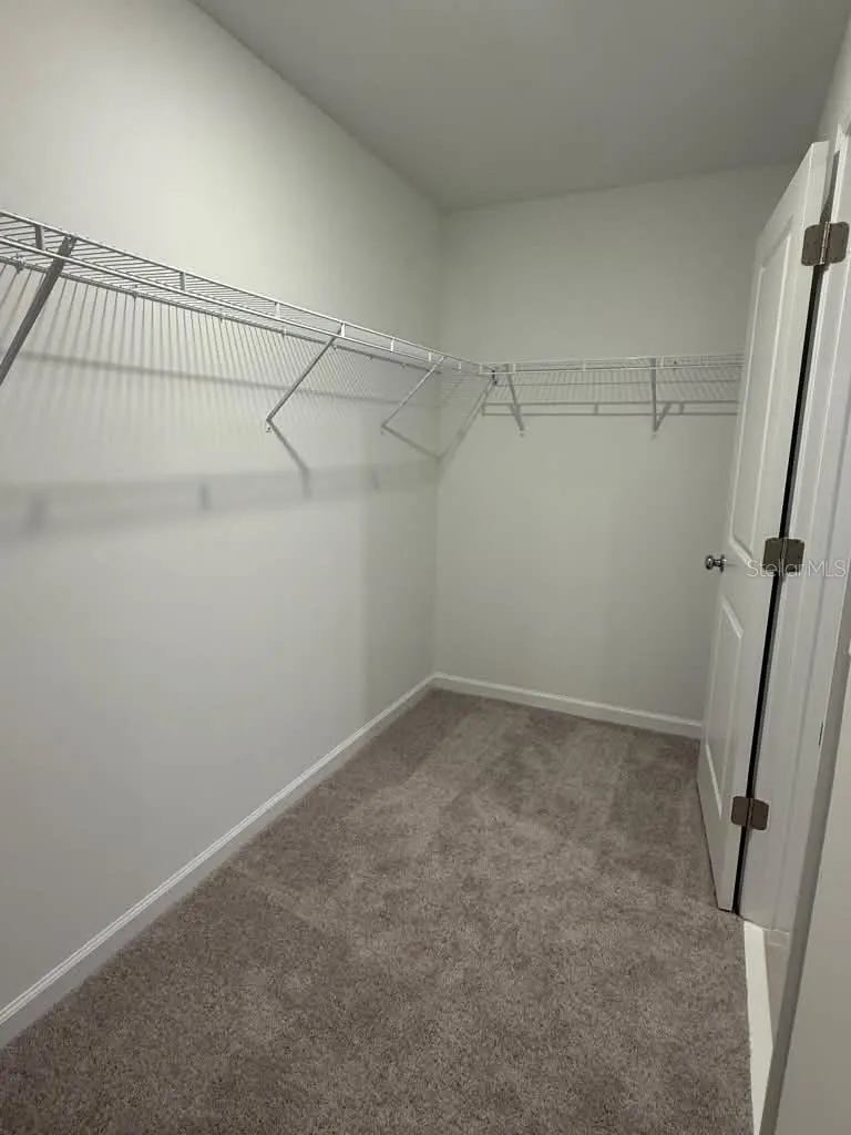 3367 ALEXANDER DR
