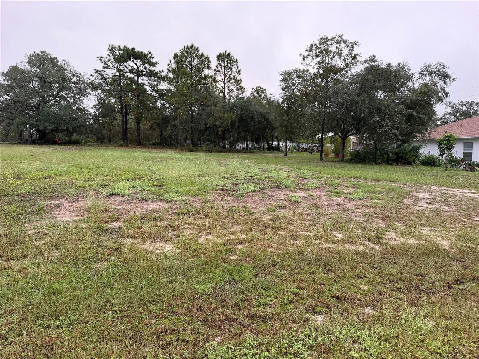 14042 ENGLISH SPARROW RD