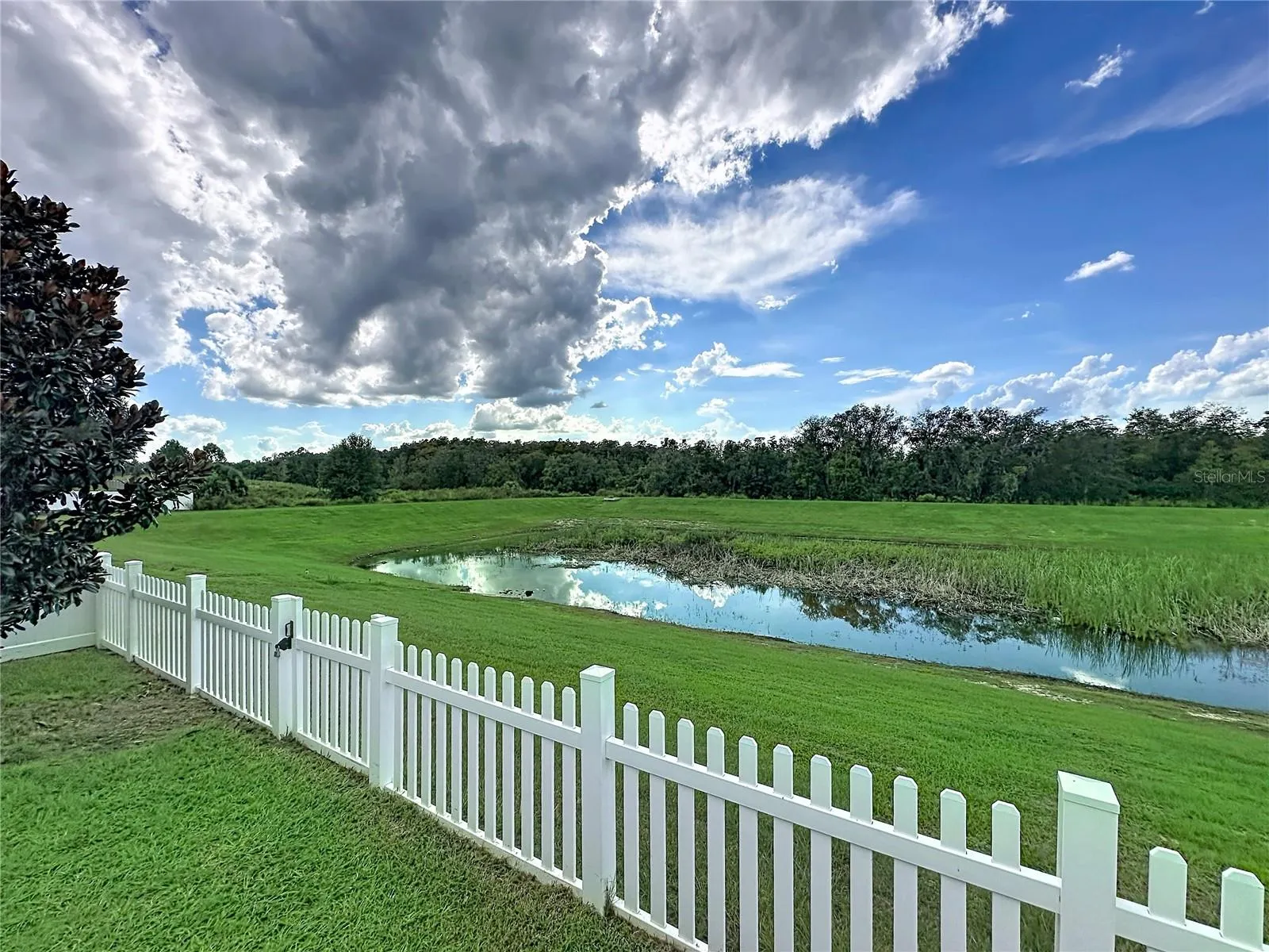 1124 PAPAYA CIR