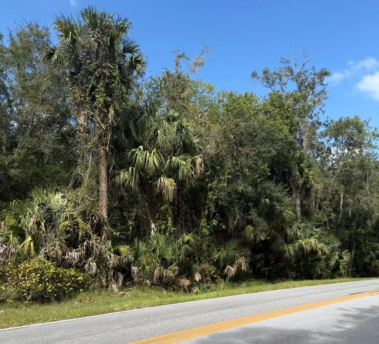 OLD KISSIMMEE RD