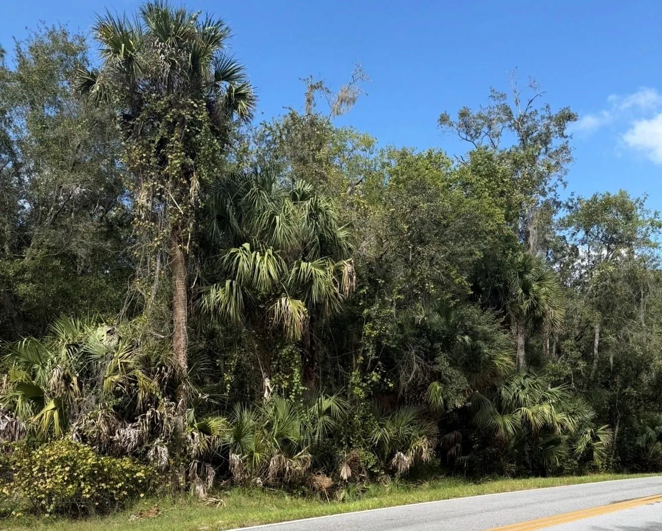 OLD KISSIMMEE RD