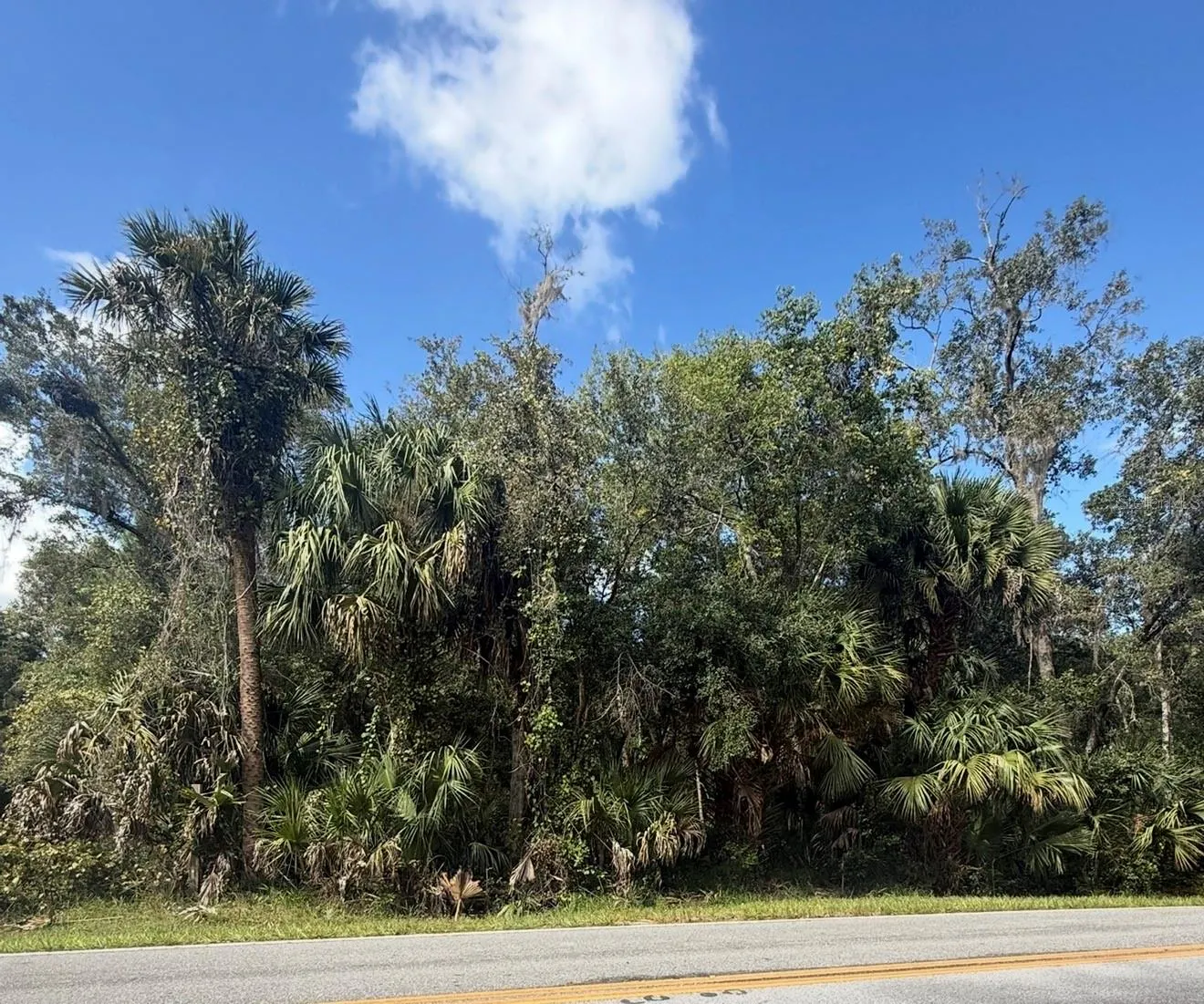 OLD KISSIMMEE RD