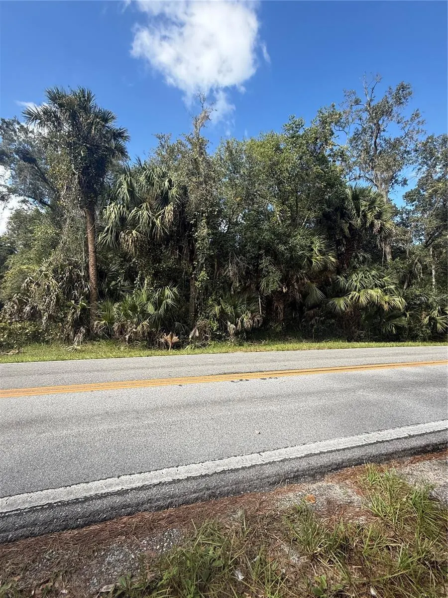 OLD KISSIMMEE RD
