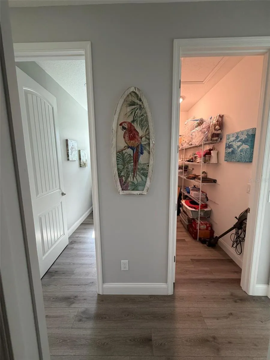 58681 ALLIGATOR LAKE SHR W