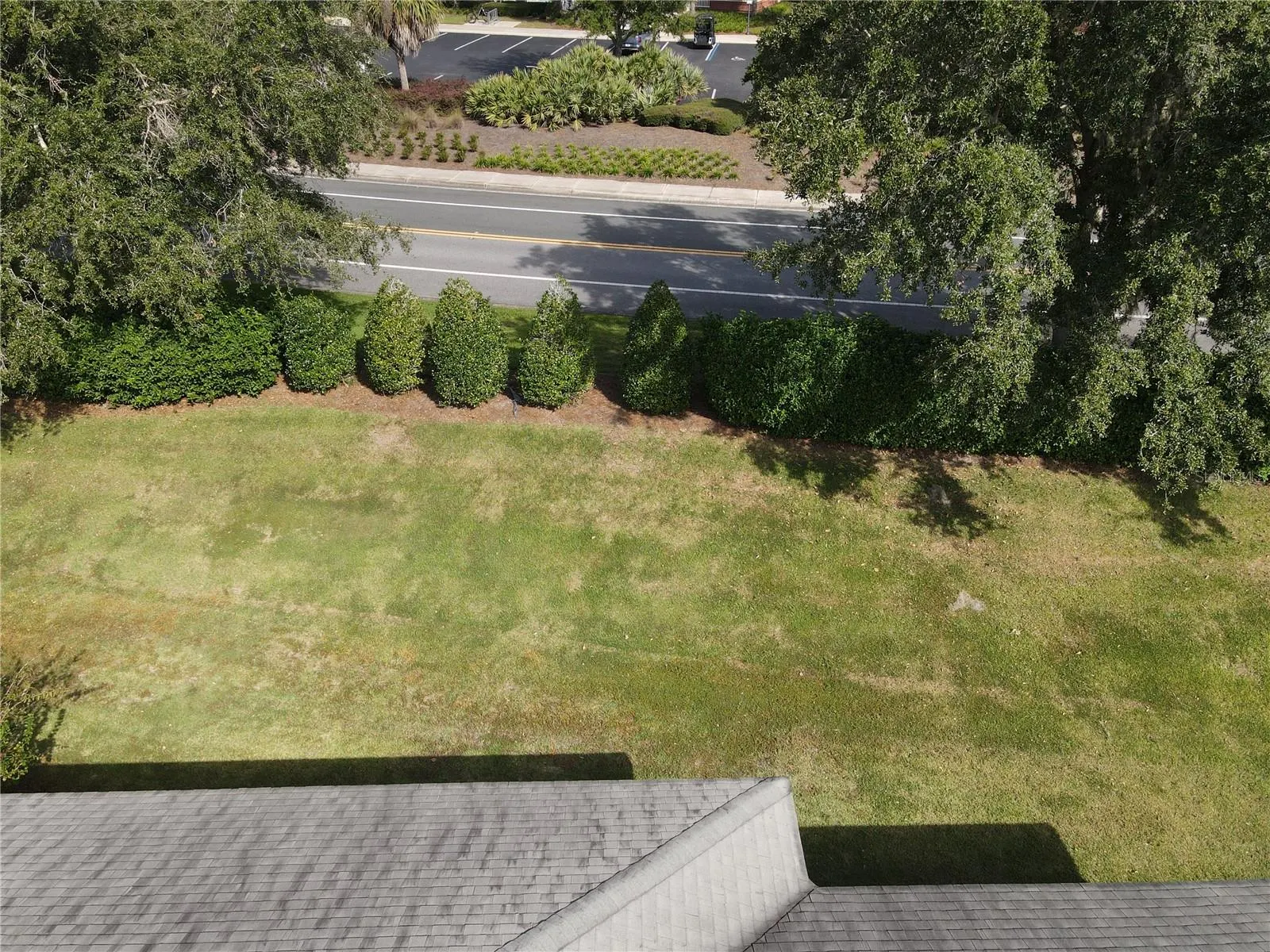 941 MANDRAKE ST