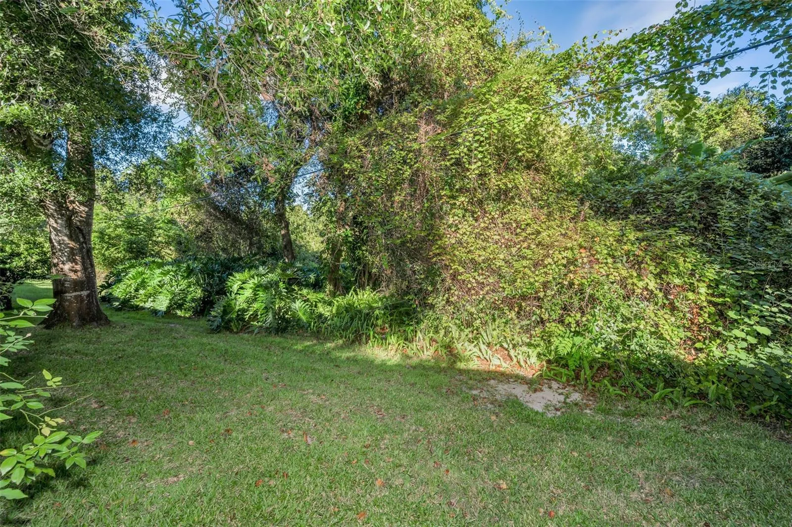 3500 MAGNOLIA RIDGE CIR #405, #405