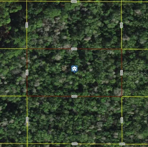 TALL PINE RD