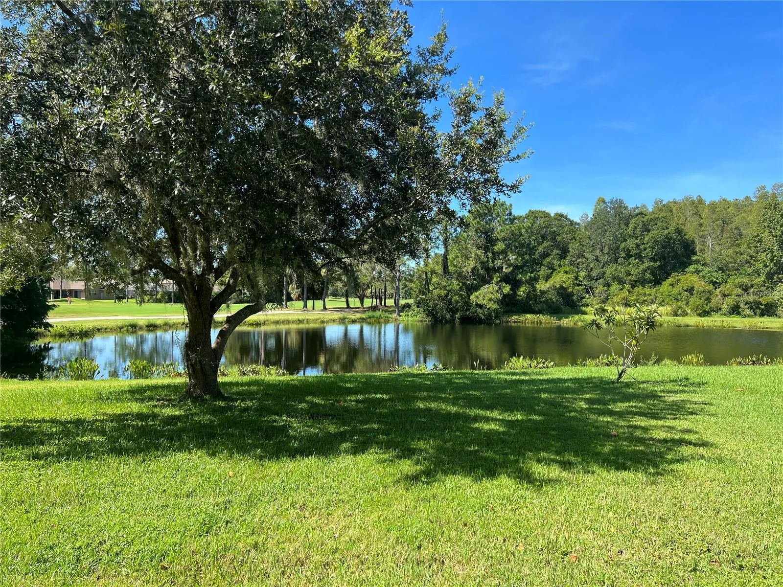 10782 PLANTATION BAY DR