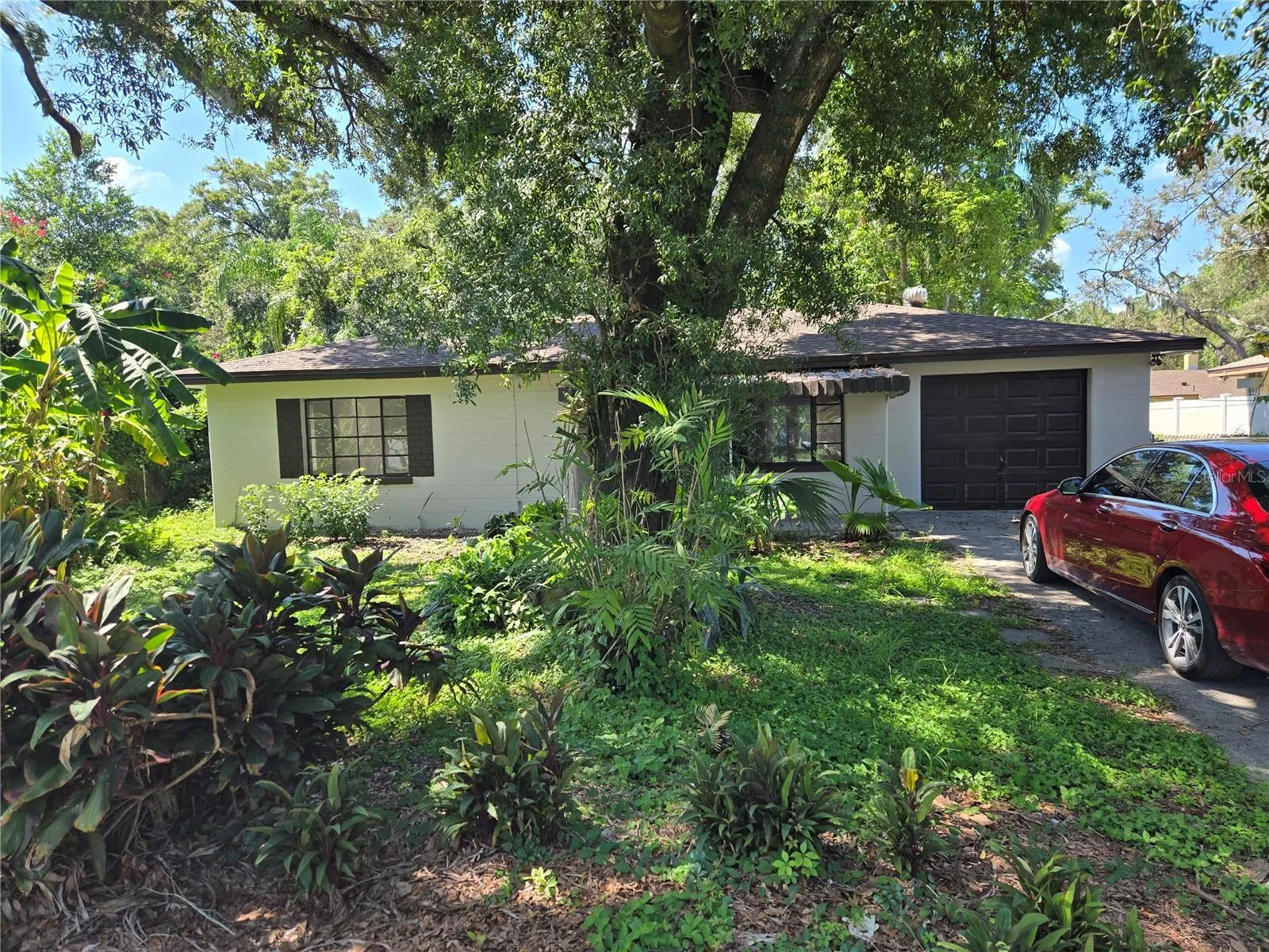 804 W LINEBAUGH AVE
