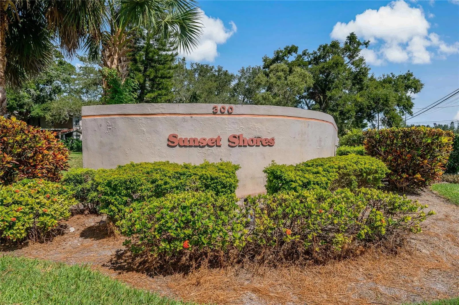 300 S FLORIDA AVE #300F, #300F