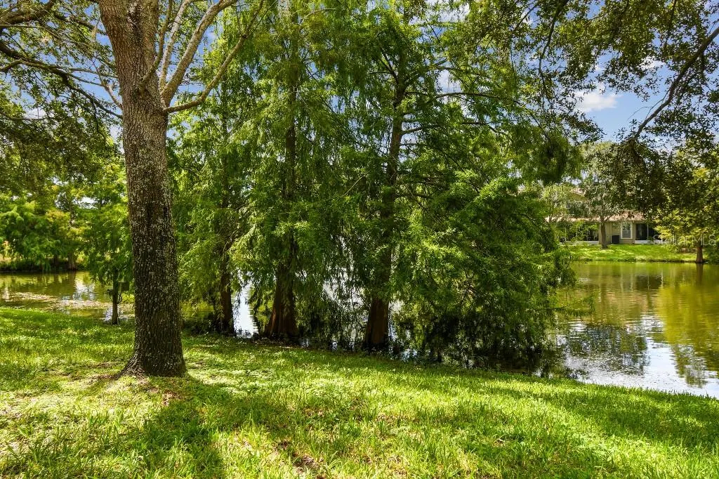 527 SPRING LAKE CIR