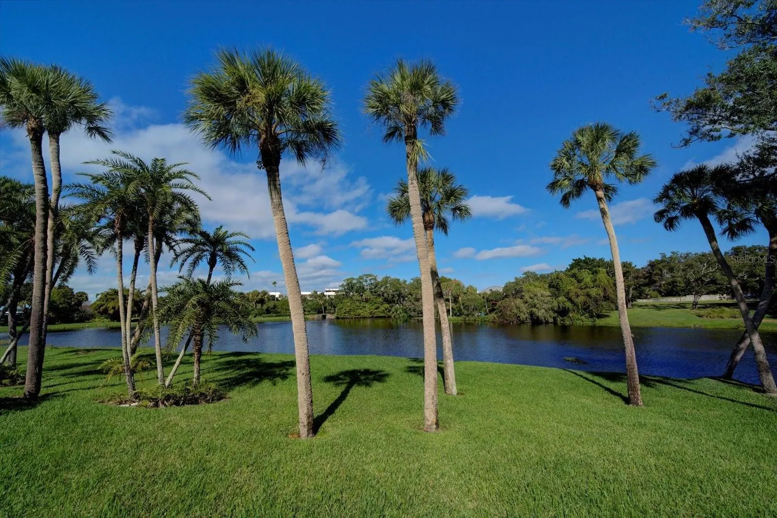 220 BELLEVIEW BLVD #410, #410