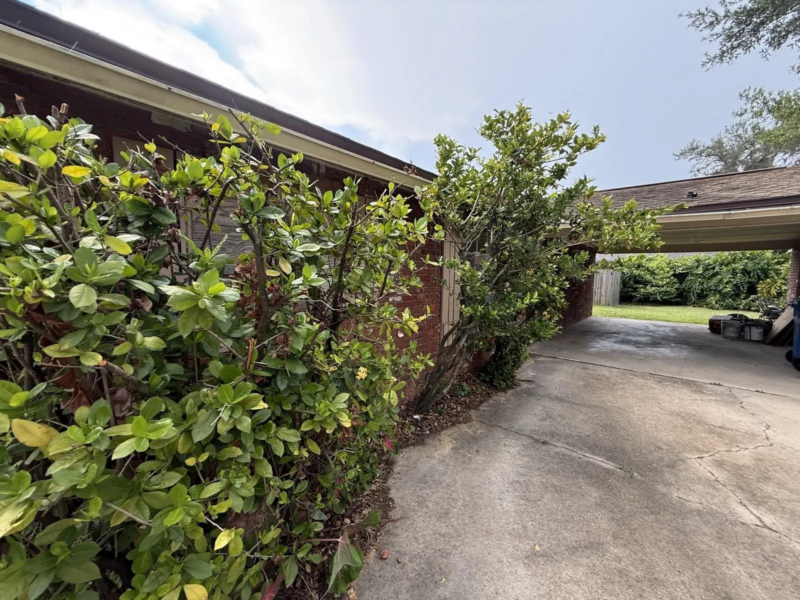 804 WALNUT DR