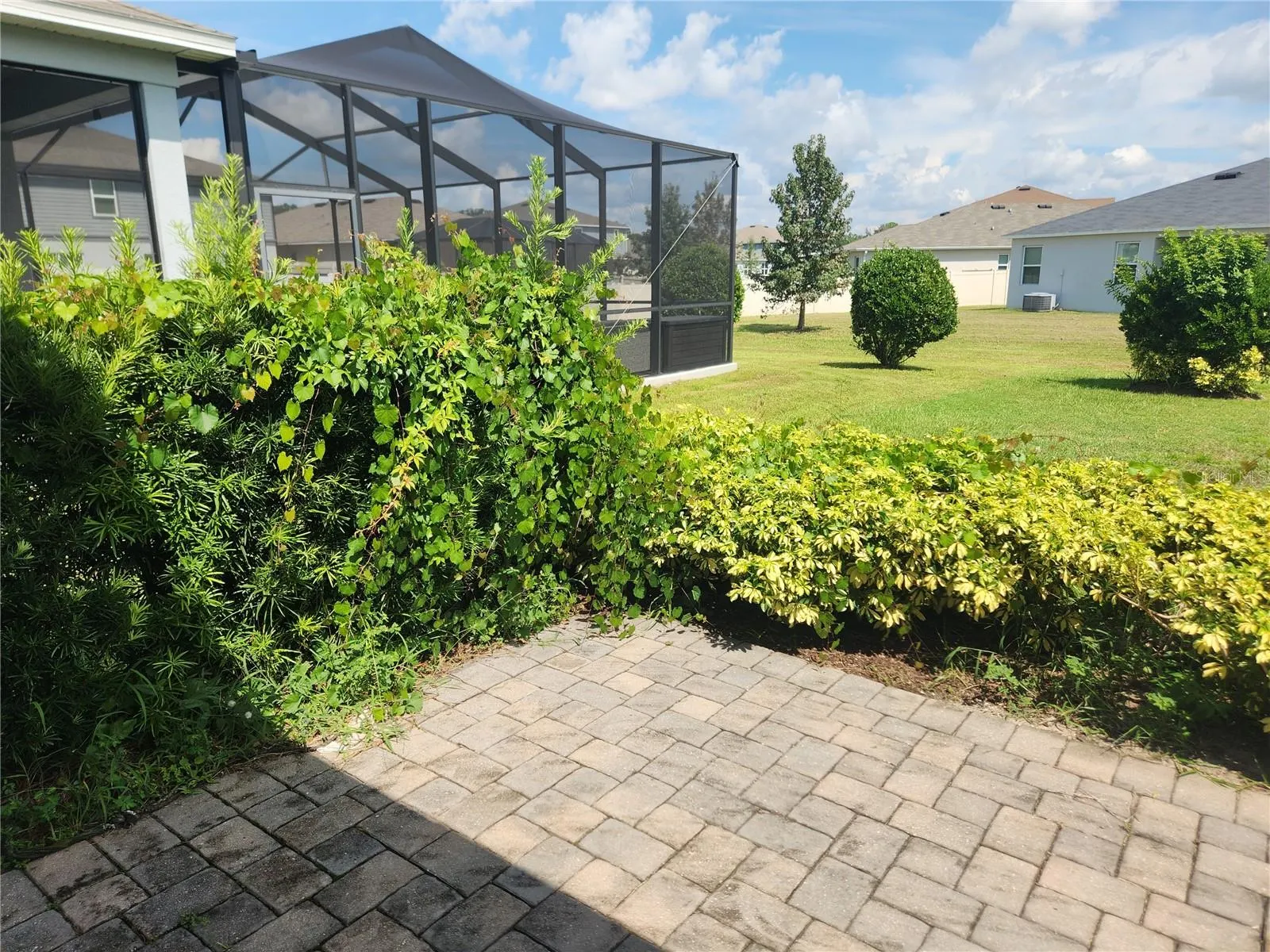 7308 IBIS DR