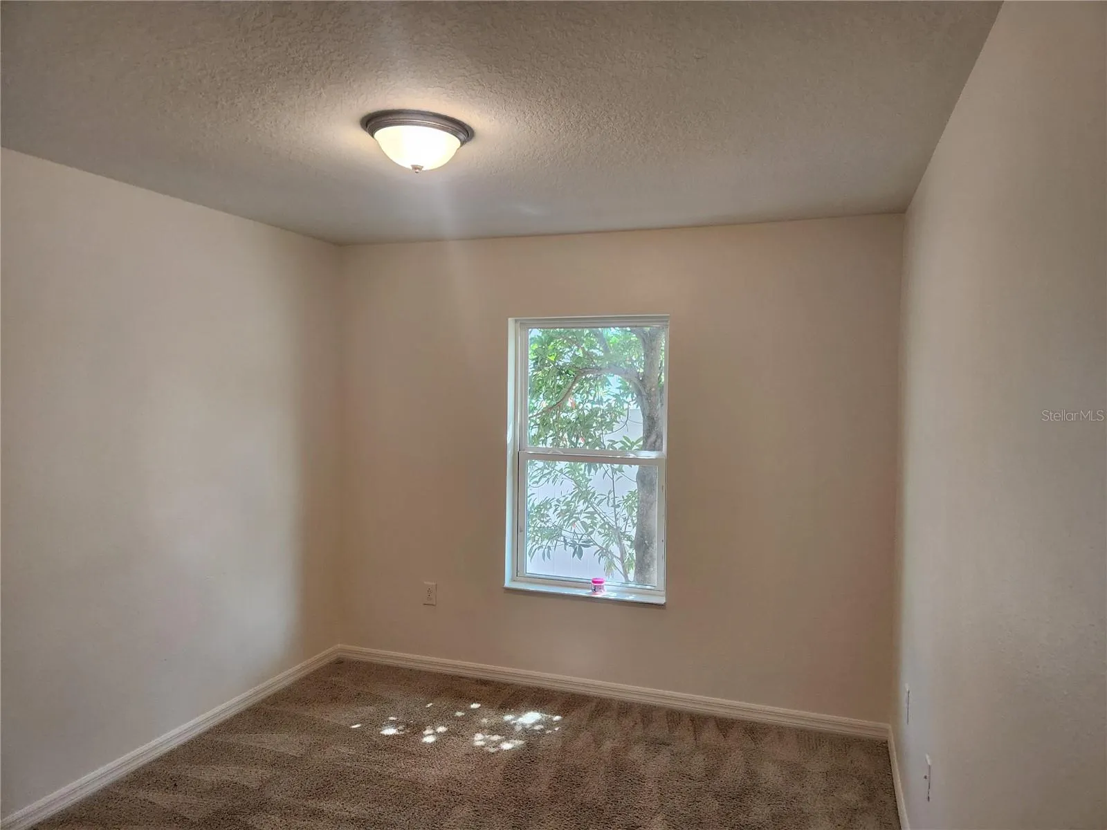 7308 IBIS DR