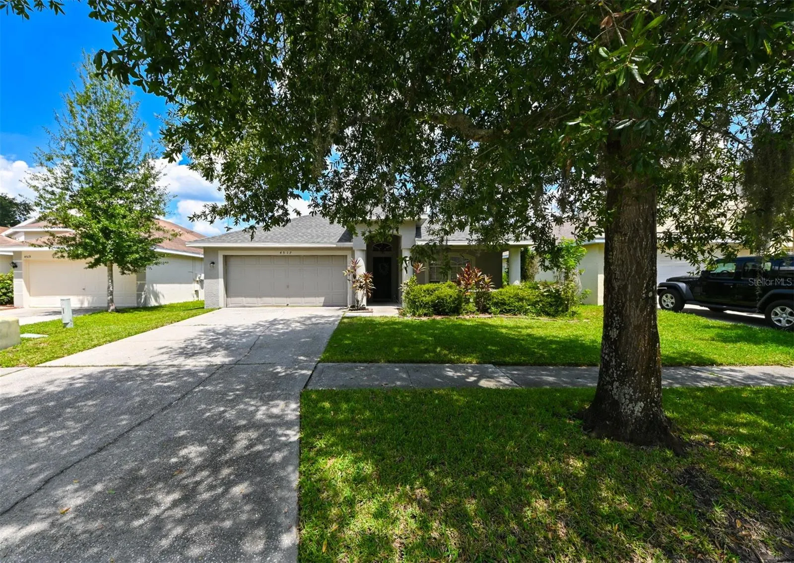 4517 WILD PLUM LN
