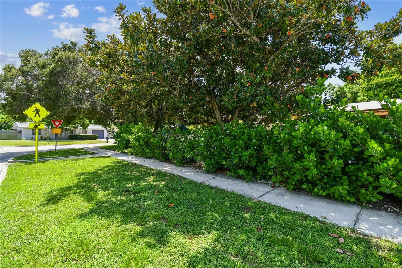1594 LINWOOD DR