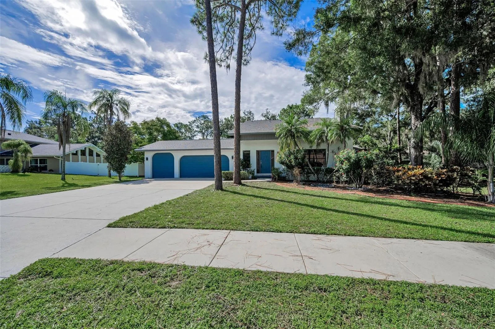 3130 TARPON WOODS BLVD