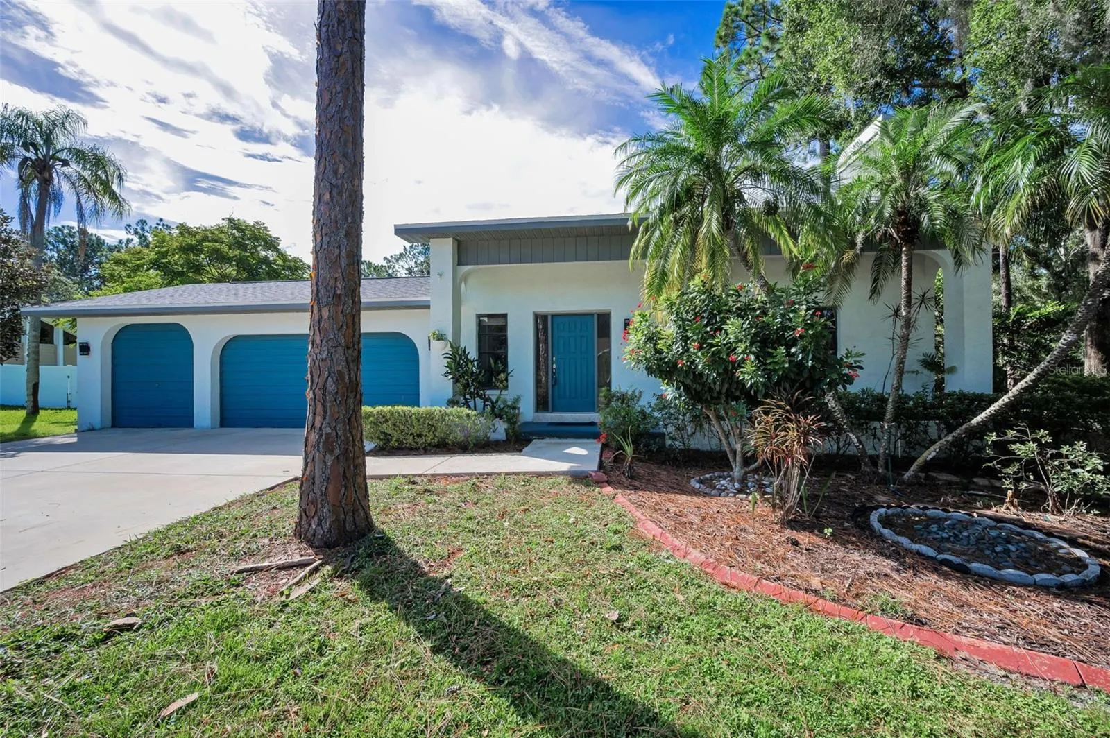 3130 TARPON WOODS BLVD