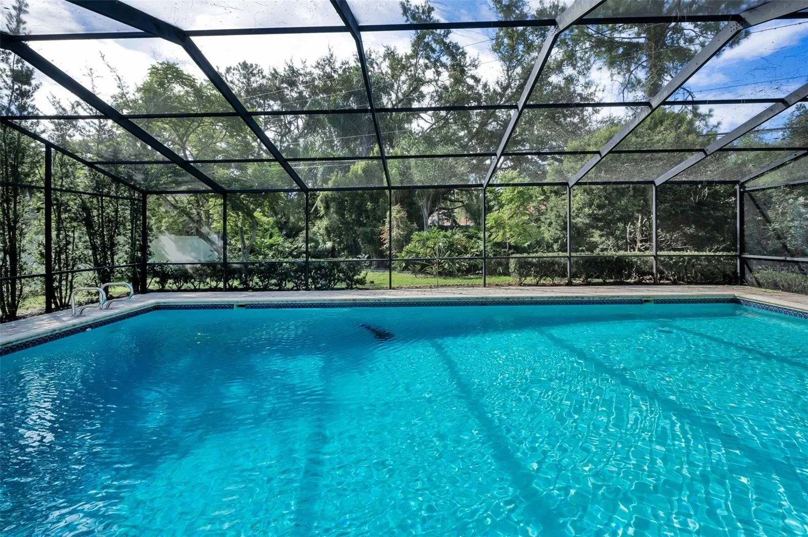3130 TARPON WOODS BLVD