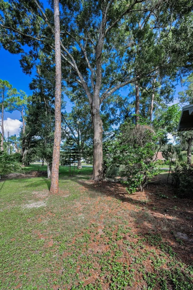 3130 TARPON WOODS BLVD