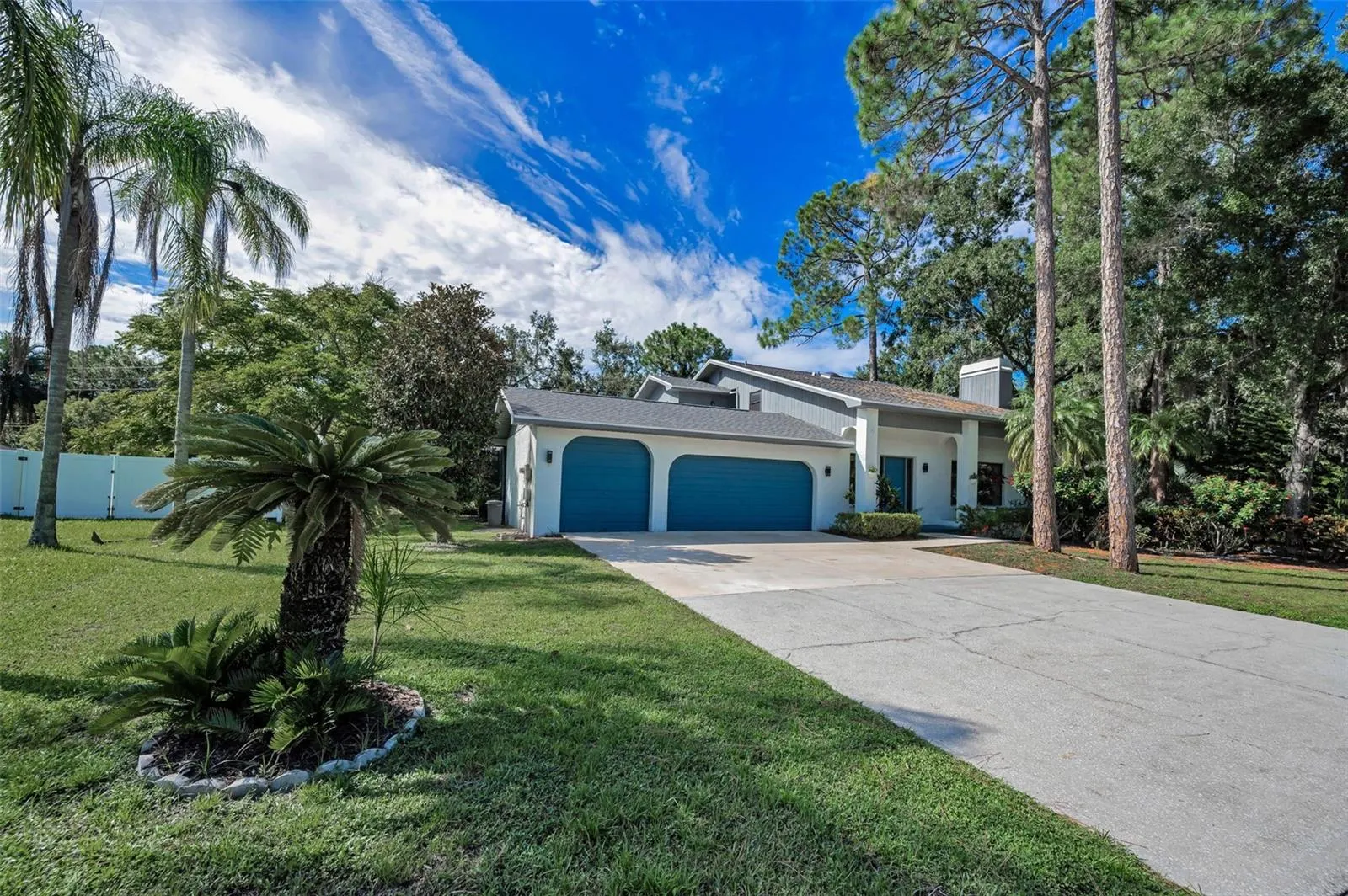 3130 TARPON WOODS BLVD