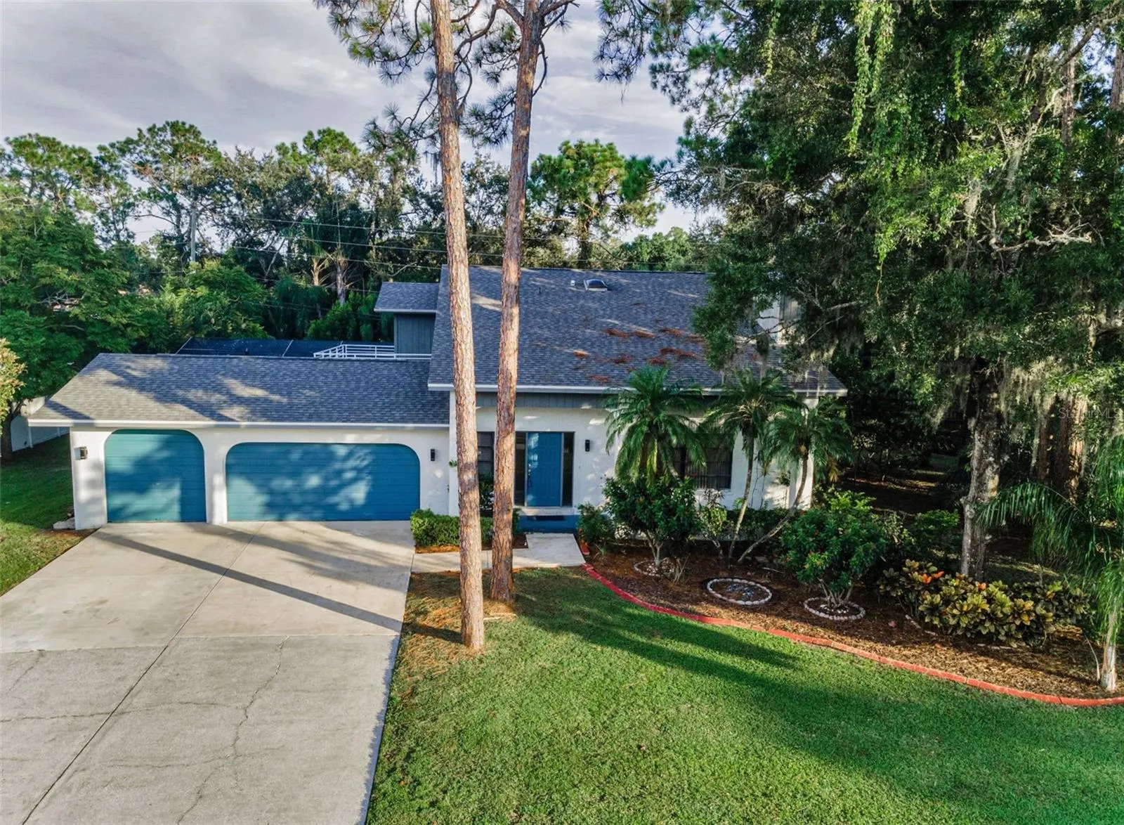 3130 TARPON WOODS BLVD