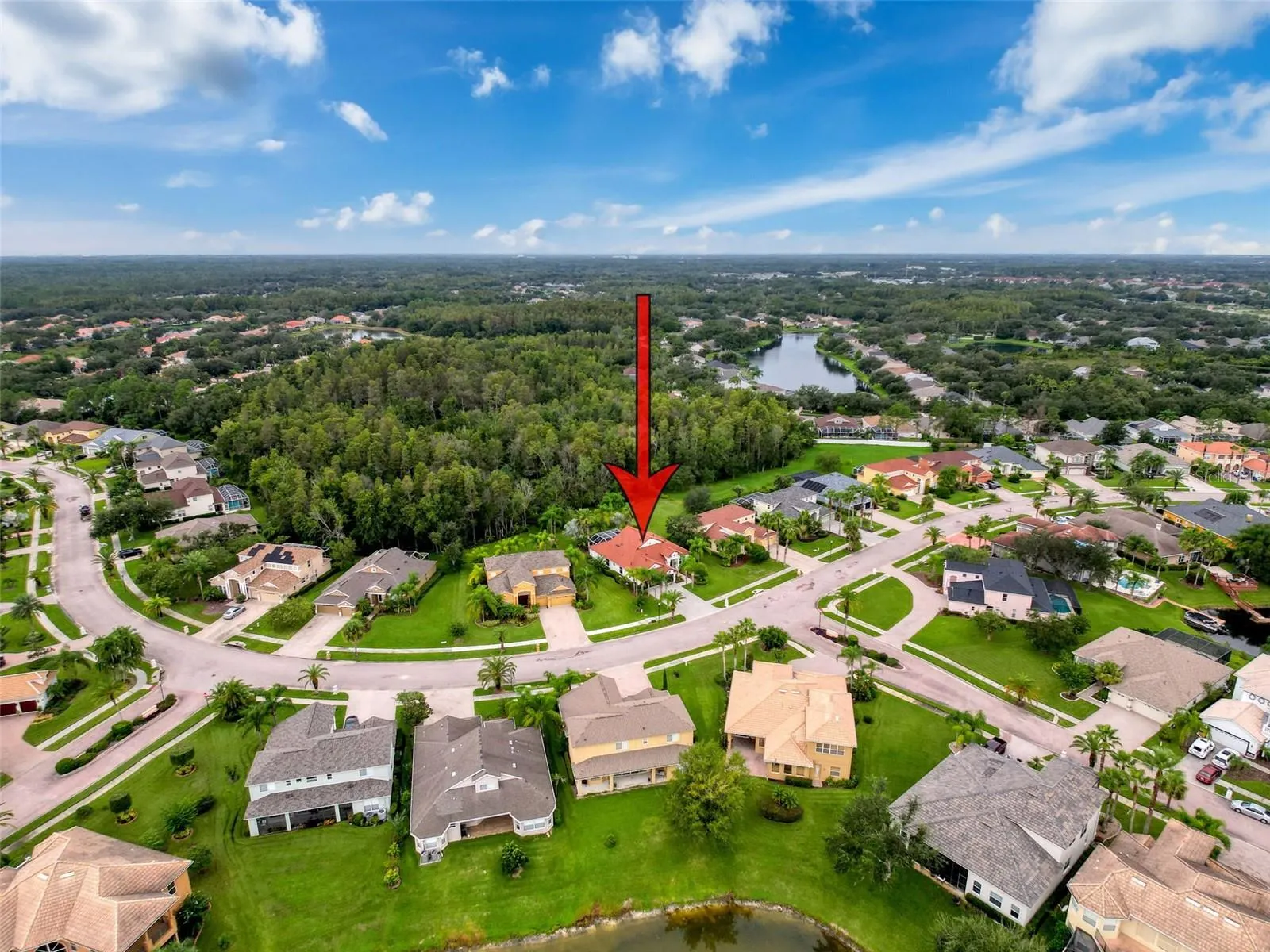 10704 CORY LAKE DR