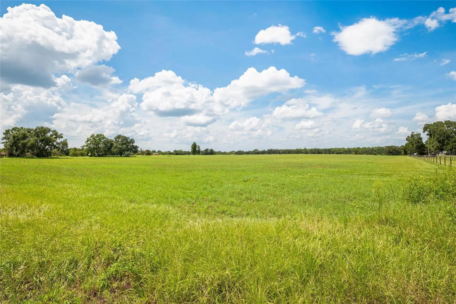 12410 THONOTOSASSA RD